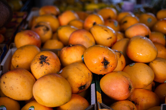 fresh mangoes piled into trays at the markets