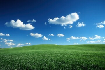 Obraz premium Serene Green Field Under a Deep Blue Sky with Fluffy White Clouds Capturing the Essence of Nature and Tranquility in a Wide Angle View