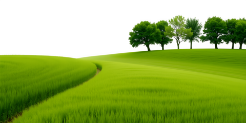 A landscape of green grass and trees on a white background.
