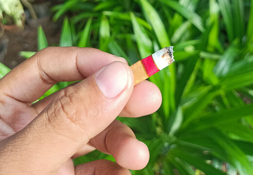 Cigarette butt in hand, colse up on green leaf