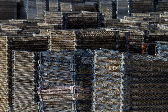 Oyster Nets