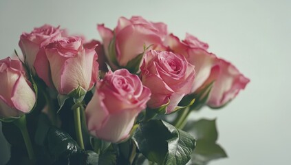 Pink roses bouquet close-up
