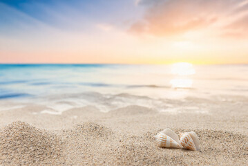 砂浜と貝殻