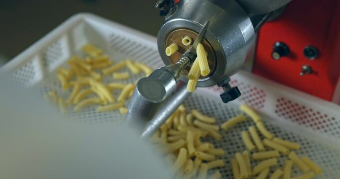Traditional italian homemade pasta being made on machine for cutting dough. Fresh rigatoni or maccheroni pasta coming out from pasta maker, close-up. Chef uses pasta cutting machine in laboratory.