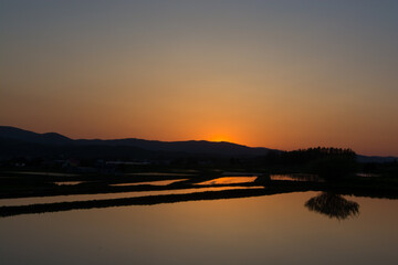 夕日を反射する水を張った春の水田
