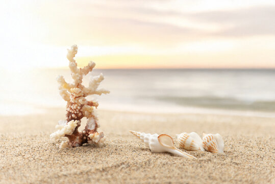 南国風景」の写真素材 | 1,005,827件の無料イラスト画像 | Adobe Stock