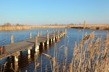 Obraz premium wooden pier on a lake in Rust, Burgenland, Austria