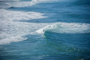 Naklejka premium Wide angle of surfers in the blue ocean. Great tricks