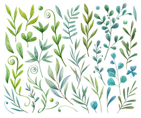 Watercolor hand painted Floral set. Flowers, green, blue. Illustration isolated on white background. Use it for postcards, invitations, and scrapbooking.