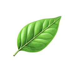 Obraz premium Vibrant Green Leaf: A single, lush green leaf, rich in detail and texture, isolated on a white background. Perfect for illustrating natural themes or adding a fresh, organic touch to your designs.