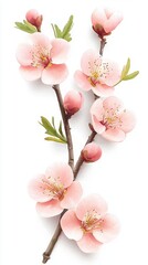 Naklejka premium Soft Pink Flower Blossom