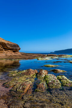 Whalers Cove
