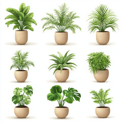collection of various potted plants in beige pots, showcasing lush green foliage