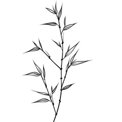 flowers and leaves in pictures illustrator2D