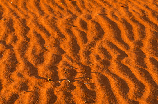 Ripples in Red Dunes