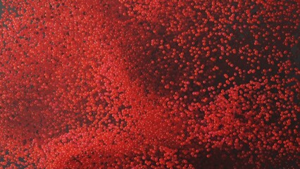 Red abstract background with sphere beads close up. 3D rendering of medical backdrop with blood cells. 