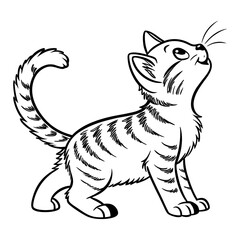 Fototapeta premium Black and White Line Art Illustration of a Curious Kitten Looking Upward with Tail Curled and Whiskers Extended.