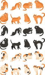 Fototapeta premium cat illustration