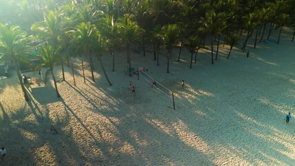 Aerial view capturing sandy coastline, volleyball players enjoying sunlit morning beneath swaying palms during golden tropical sunrise