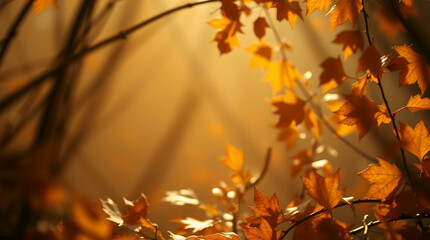 Autumn leaves illuminated by warm sunlight, creating a serene, golden atmosphere with vibrant orange, yellow, and red hues