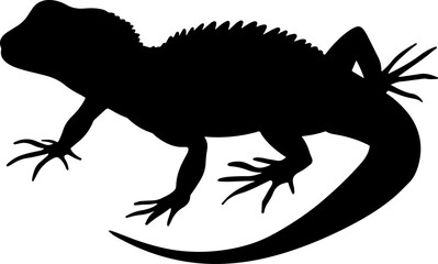 Lizard silhouette illustration vector design.