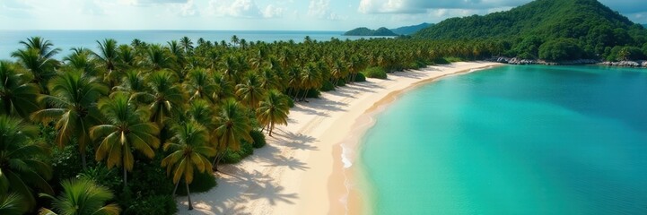Fototapeta premium Drone view of Palawan's coconut palms and pristine beach , tropical, paradise, sky