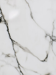 Close-up of white marble with striking black veining, creating a luxurious and natural stone texture. The high-quality surface is ideal for architecture, backgrounds, and modern interior design.