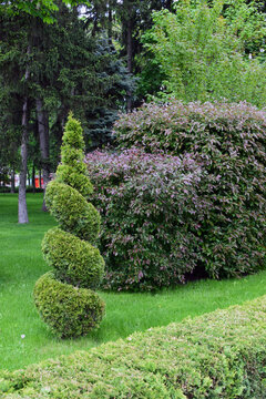 A well-maintained garden with lush green grass and various types of shrubs and trees. Lush Greenery and Intricate Design