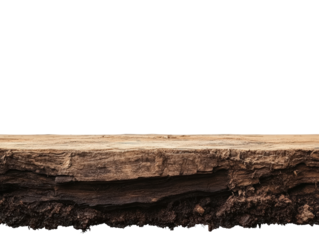 Earth's Cross-Section: A detailed cross-section of the earth's layers and soil