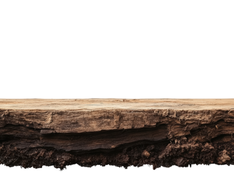 Earth's Cross-Section: A detailed cross-section of the earth's layers and soil
