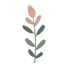 Leaves on a branch, colored. Cute illustration, vector, color, simple