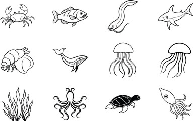 Ocean Life Marine Animals, Sea Creatures, Underwater World Illustrations