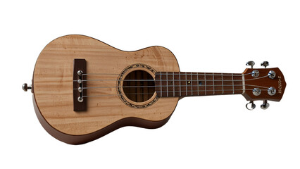 guitar on a transparent background