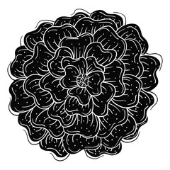 Hand drawing style of flower vector. It is suitable for plant or flower icon, sign or symbol.