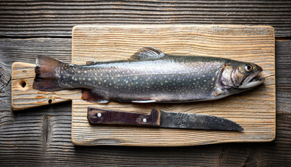 Arctic char fish with knife on wooden cutting board on rustic table. Freshwater river trout close up. Food photography