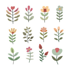 Set of leaves and flowers. Cute illustration, vector, color, simple.