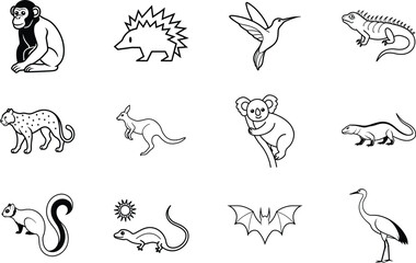Diverse Animal Illustrations Monkey, Hedgehog, Hummingbird, Iguana, Koala, Wildlife