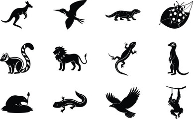 Australian Wildlife Icons Kangaroos, Birds, Lizards, and Mammals