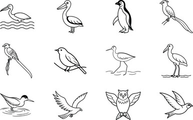Diverse Avian Species Line Art Drawings of Birds