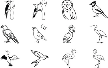 Twelve Bird Illustrations Woodpecker, Owl, Jay, Hawk, Parrot, Heron