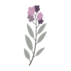 Flower. Cute illustration, vector, color, simple.