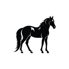 Obraz premium Horse vector silhouette