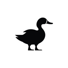 Obraz premium Duck vector silhouette