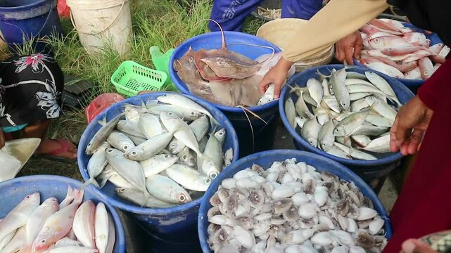 A people hand buy seafood fish in asian fishery traditional market. A Customers buy fresh fish from sea farmers at market stalls.Focus on hand.blurred,shake video,exposure