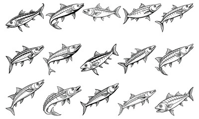 Intricate Barracuda Fish Coloring Page for Adults, Beautiful Line Art for Stress Relief and Relaxation, Ideal for Adult Coloring Books or Printable Art Therapy, High-Resolution Illustration.