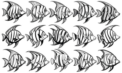 Intricate Angelfish Fish Coloring Page for Adults, Beautiful Line Art for Stress Relief and Relaxation, Ideal for Adult Coloring Books or Printable Art Therapy, High-Resolution Illustration.