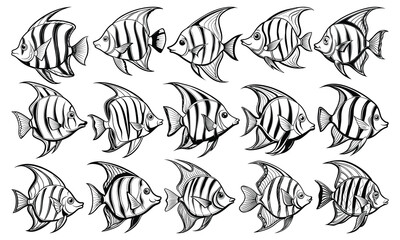 Angelfish Fish Coloring Page for Adults, Intricate Line Art for Relaxation and Stress Relief, Ideal for Adult Coloring Books or Printable Art Therapy, High-Quality Detailed Illustration.