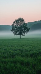 Fototapeta premium Serene Dawn Landscape Majestic Tree Standing Tall in Foggy Meadow Capturing Tranquil Nature Scene with Soft Light and Lush Greenery