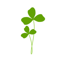 Illustration of green clover plant 