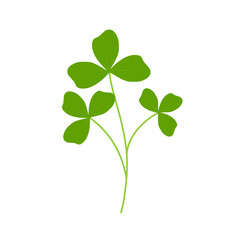 Illustration of green clover plant 